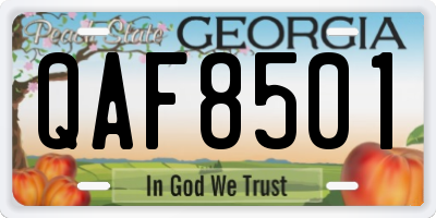 GA license plate QAF8501