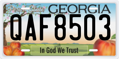 GA license plate QAF8503