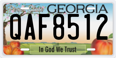 GA license plate QAF8512
