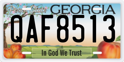 GA license plate QAF8513