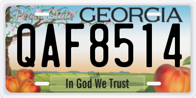 GA license plate QAF8514