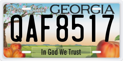 GA license plate QAF8517