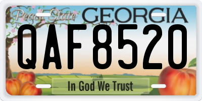 GA license plate QAF8520