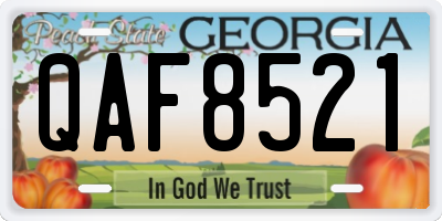 GA license plate QAF8521