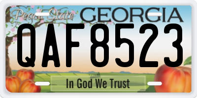 GA license plate QAF8523