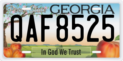 GA license plate QAF8525