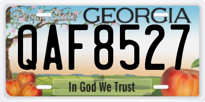 GA license plate QAF8527