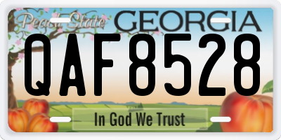 GA license plate QAF8528