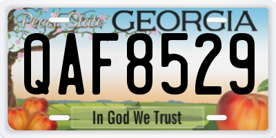 GA license plate QAF8529