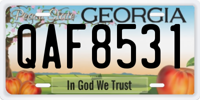 GA license plate QAF8531