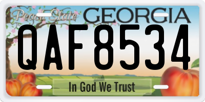 GA license plate QAF8534