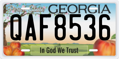 GA license plate QAF8536