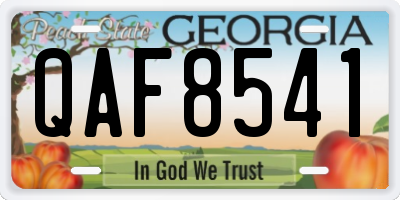 GA license plate QAF8541
