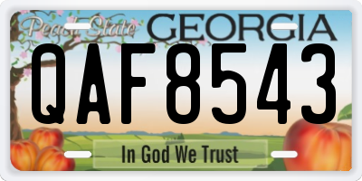 GA license plate QAF8543