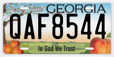 GA license plate QAF8544