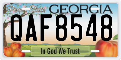 GA license plate QAF8548