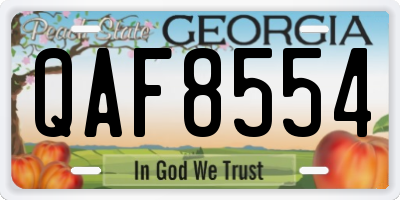 GA license plate QAF8554