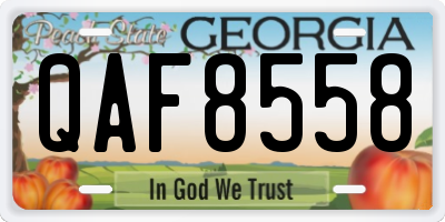 GA license plate QAF8558
