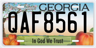 GA license plate QAF8561