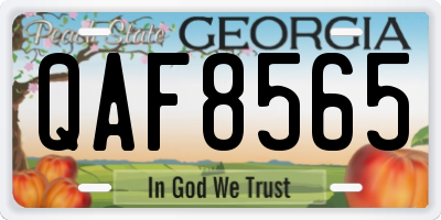 GA license plate QAF8565