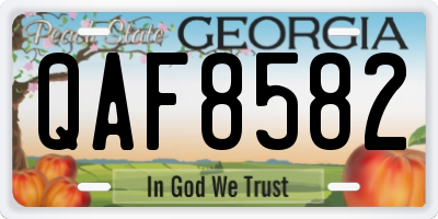 GA license plate QAF8582