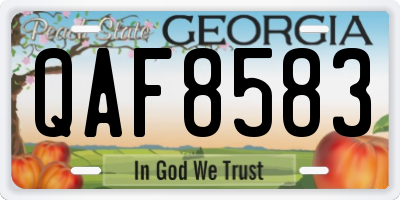 GA license plate QAF8583