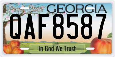 GA license plate QAF8587