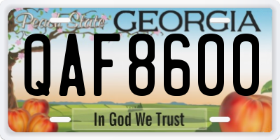 GA license plate QAF8600