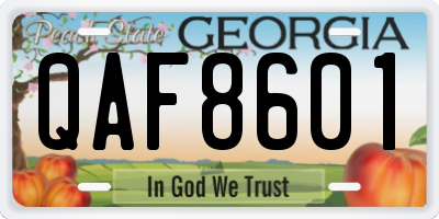 GA license plate QAF8601