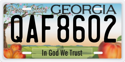 GA license plate QAF8602