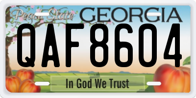 GA license plate QAF8604