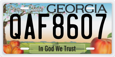 GA license plate QAF8607