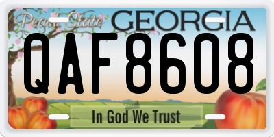 GA license plate QAF8608