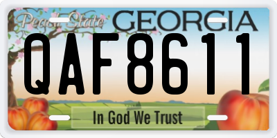 GA license plate QAF8611