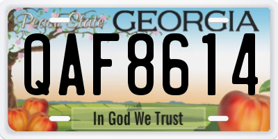 GA license plate QAF8614