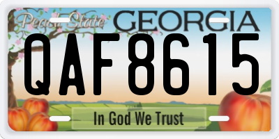 GA license plate QAF8615