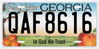 GA license plate QAF8616