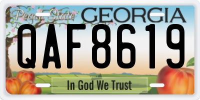 GA license plate QAF8619