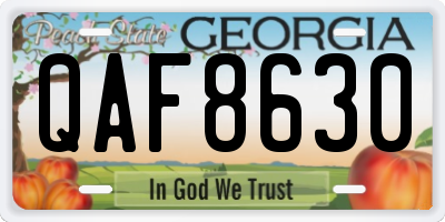 GA license plate QAF8630