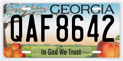 GA license plate QAF8642