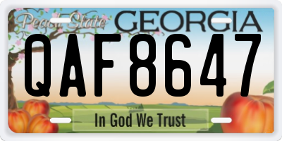 GA license plate QAF8647
