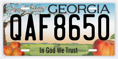 GA license plate QAF8650