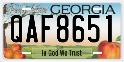 GA license plate QAF8651