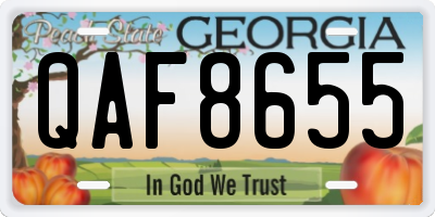 GA license plate QAF8655