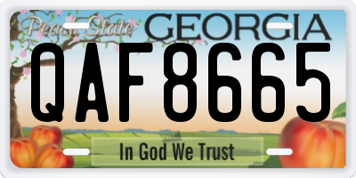 GA license plate QAF8665