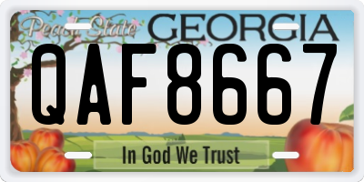 GA license plate QAF8667