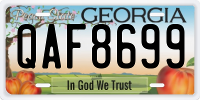 GA license plate QAF8699