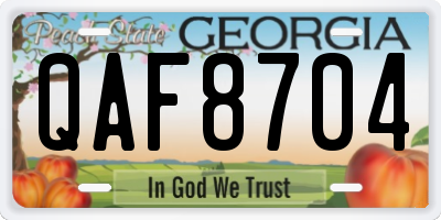 GA license plate QAF8704