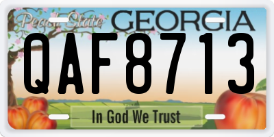 GA license plate QAF8713