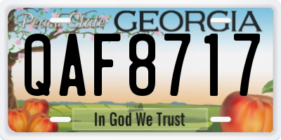 GA license plate QAF8717